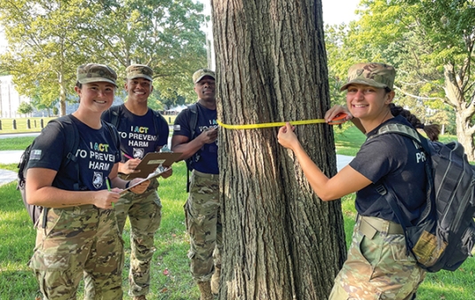 Geography majors collect tree growth data