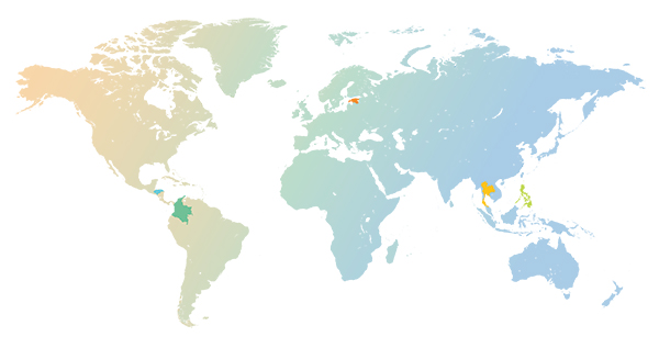 The Long International Gray Line