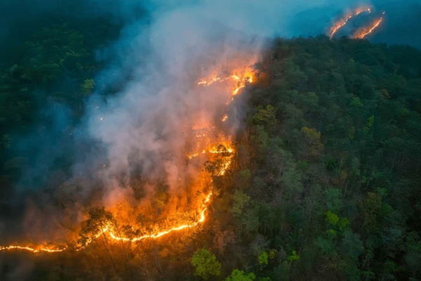 Support for West Point Graduates Affected by California Wildfires